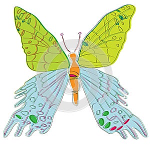Urania chrysiridia butterfly childish illustration