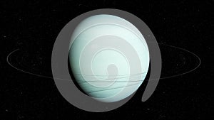 The uranus