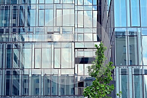 Urban abstract background, detail of modern glass facade, office business building.