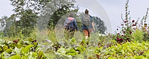 Urban agriculture The Netherlands