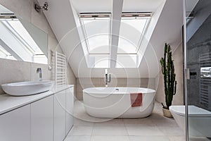 Eine Wohnung das Bad auf der Dachboden 