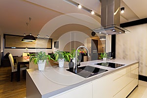 Urban apartment - kitchen counter