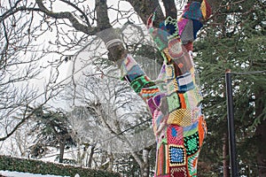 Urban art on a tree with wool on the streets