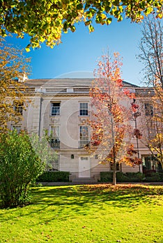 Urban Autumn