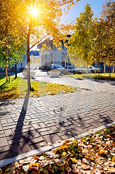 Urban autumn landscape