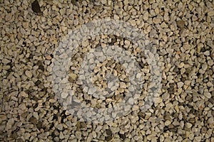 Urban beige floor texture with pebbles. Background pattern.