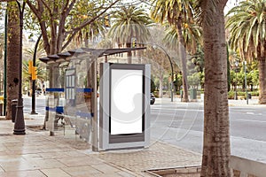 Urban bus stop with an empty advertising billboard ready for ad placement, set against backdrop of palm trees and city