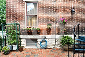 Urban Container Gardening