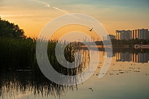 Urban Dawn in a residential area from the riverbank