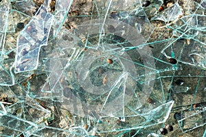 Urban Decay: Broken Glass Texture Background for Safety Hazard Concept