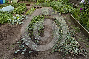 Urban farm in Interlaken