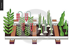 Urban farming and gardening on the rails