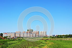 Urban farmland landscape