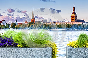 Urban flower pots with Riga old town skyline