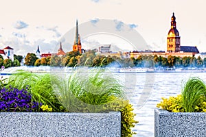 Urban flower pots with Riga old town skyline