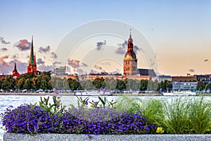 Urban flower pots with Riga old town skyline