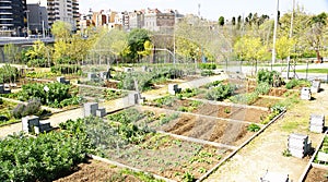 Urban garden in Collblanc, Barcelona