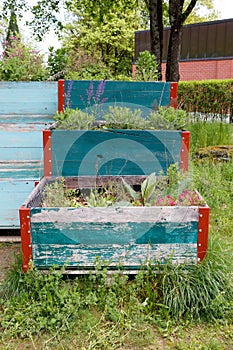 Urban garden concept. Raised wooden garden beds with plants in community garden