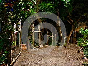 Urban Garden Entrance at Night in Casco Viejo, Panama photo