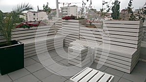 Urban garden on a roof