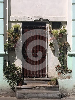 Urban garden in Santiago de Cuba