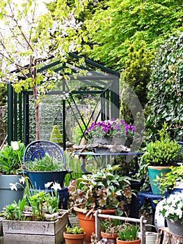 Urban garden / small / mini / English vertical garden nice and green fresh start of the spring