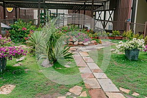 urban garden with stone path