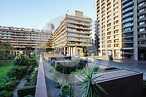 Urban gardening in the city square