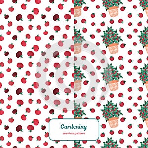 Urban gardening seamless patterns set.