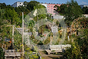 Urban Gardening at Tempelhofer Feld Flughafen Tempelhof in Ber