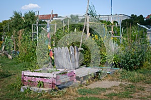 Urban Gardening at Tempelhofer Feld Flughafen Tempelhof in Ber photo