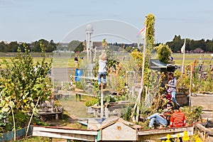 Urban gardening at Tempelhofer field, former airport in Berlin, Germany.