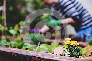 Urban gardening, young woman in the back