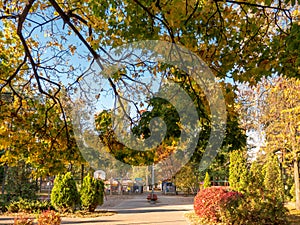 Urban golden autumn and colorful kids playground in an urban park