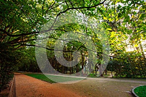 Urban green park with walking paths at sunset