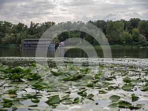 Urban green river landscape on a cloudy day