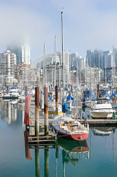 Urban harbour marina