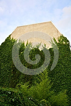 Urban House with Green Walls