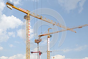 Urban industrial landscape with three tower cranes