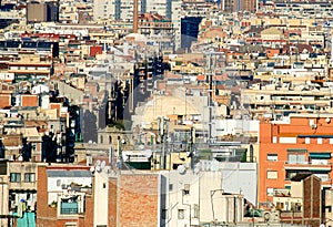 Urban jungle - Barcelona