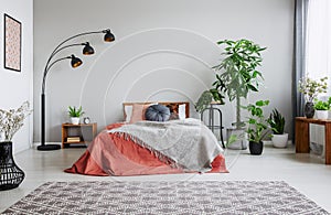 Urban jungle in bedroom with double bed, lamp and carpet