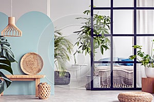 Urban jungle in bright white and blue bedroom interior with partition