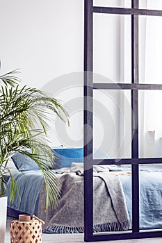 Urban jungle in bright white and blue bedroom interior with partition
