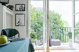 Urban jungle with green plants and trees outside a white dining room interior