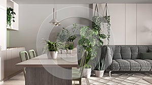 Urban jungle, kitchen with island and living room in white and bleached wooden tones. Sofa , carpet and houseplants. Home garden