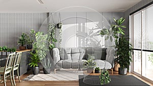 Urban jungle, kitchen and living room in white and gray tones. Dining table, parquet floor and houseplants. Home garden interior