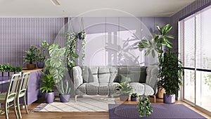 Urban jungle, kitchen and living room in white and purple tones. Dining table, parquet floor and houseplants. Home garden interior
