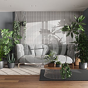 Urban jungle, living room with velvet sofa in white and gray tones. Carpets with table, parquet floor and houseplants. Home garden