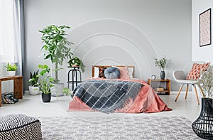 Urban jungle in modern bedroom with king size bed, comfortable grey armchair and patterned carpet