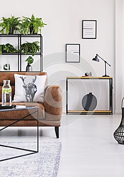 Urban jungle in modern home interior. Pots with plant on a shelf behind leather sofa.